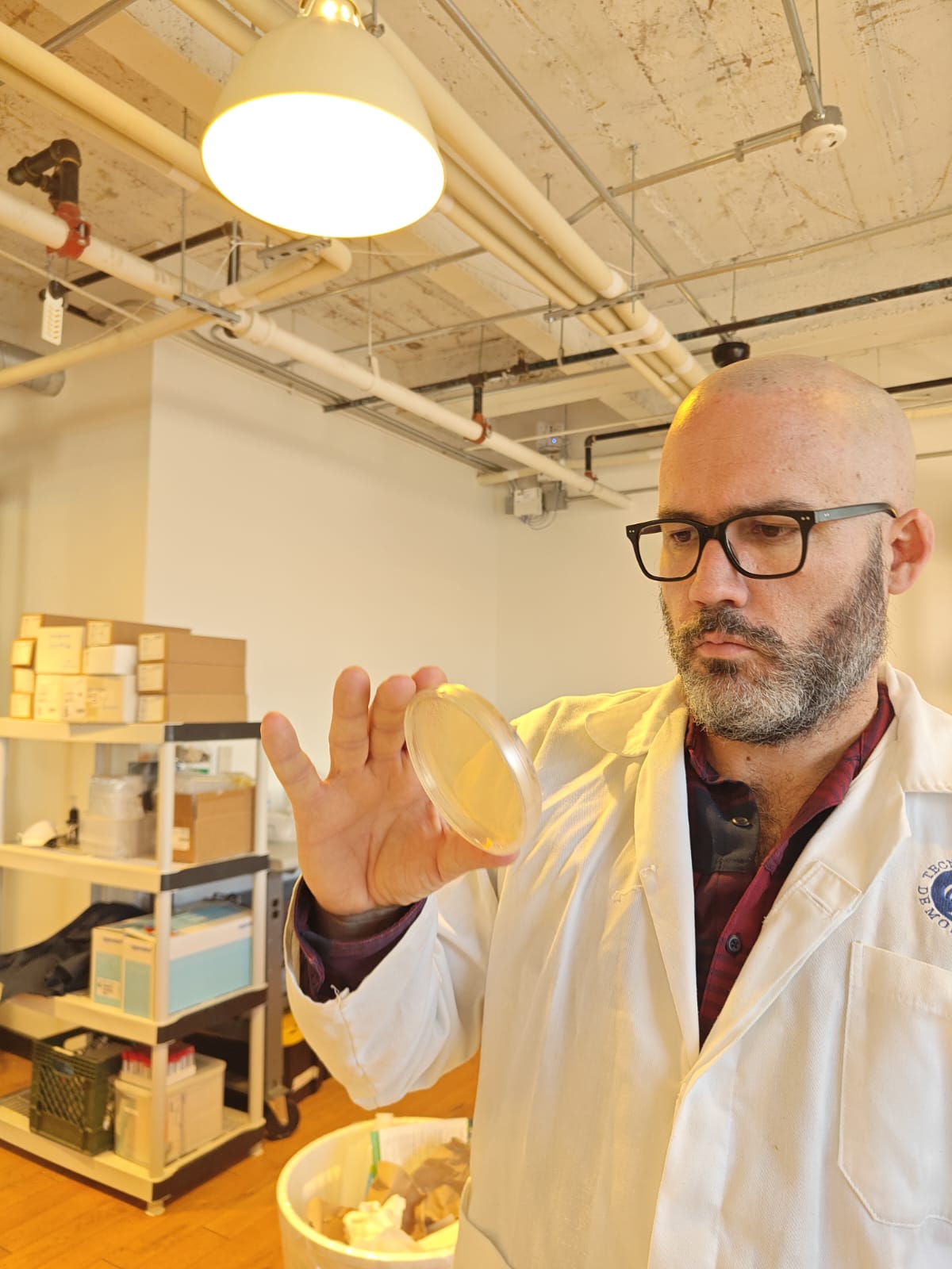Alvaro in the lab